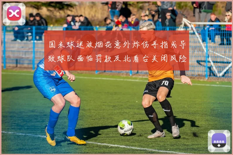国米球迷放烟花意外炸伤手指或导致球队面临罚款及北看台关闭风险